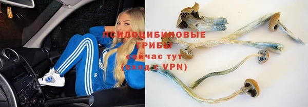 ешки Алексин