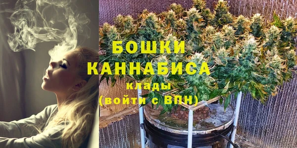 PSILOCYBIN Алексеевка