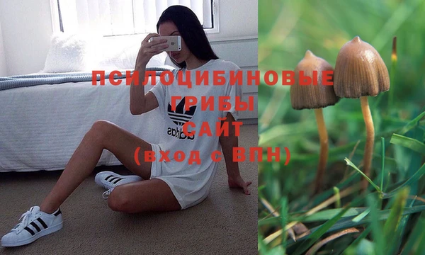 марки lsd Абинск