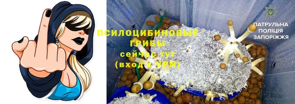 Альфа ПВП Алзамай
