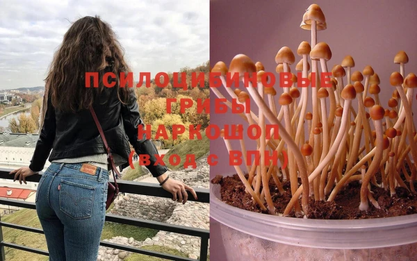 амф Абаза