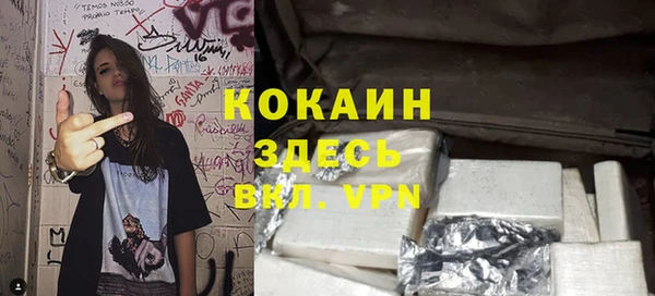ешки Алексин