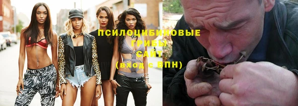 амф Абаза